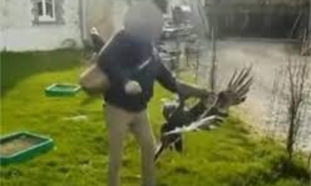 Stop aux actes de maltraitance envers les animaux du dresseur Pierre Cadéac !