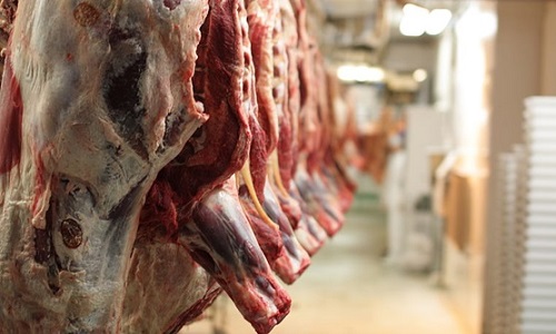 Interdiction de l'abattage cultuel !