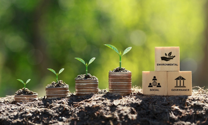 Écologie : pour la création d'une organisation pour une éthique intergénérationnelle !