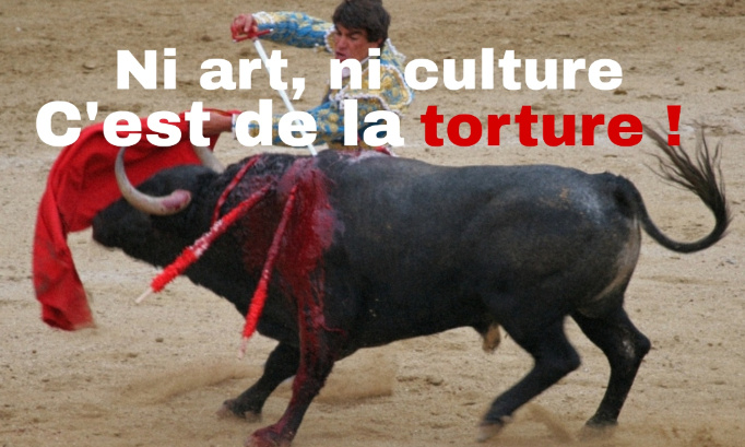 Pour l'interdiction de la corrida en France !