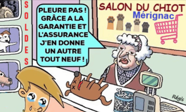 STOP au salon du chiot à Mérignac