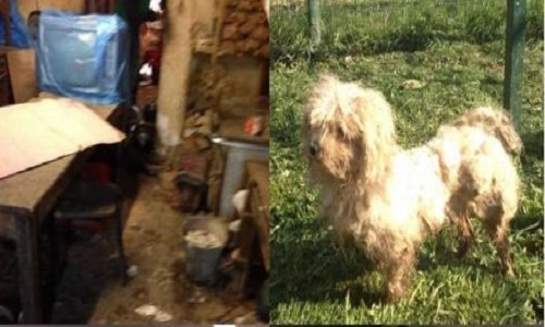 Prison pour 2 tortionnaires