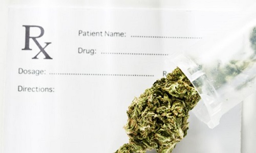 La légalisation de la marijuana dans la médecine
