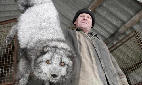 Une punition valable concernant une personne