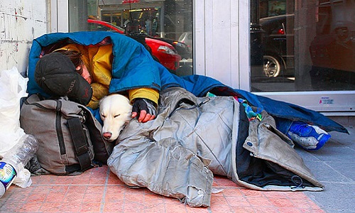 Surveiller/Limiter les chiens de SDF