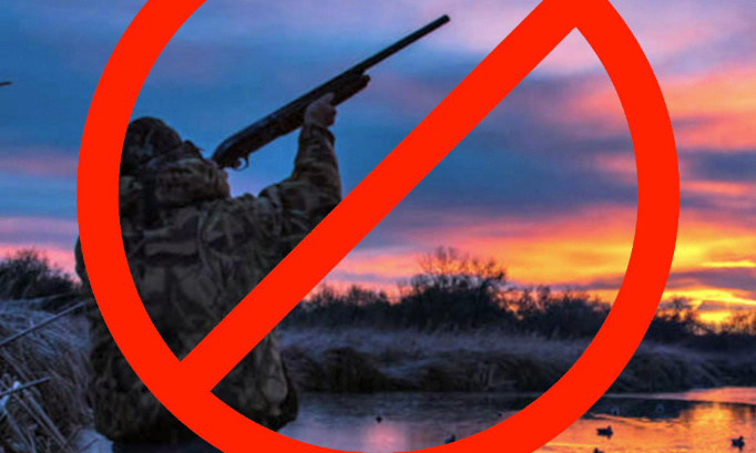 Halte aux tirs des fusils de chasse sur la plage des Vieux Salins à Hyeres