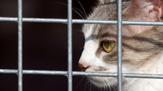 Peine maximale avec prison ferme pour ce malade!