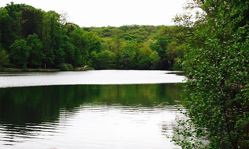 Sauvons du bétonnage le dernier village de la Petite Couronne!