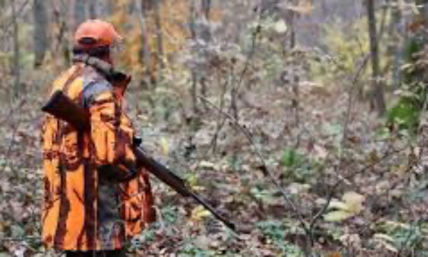 Non &agrave; la chasse