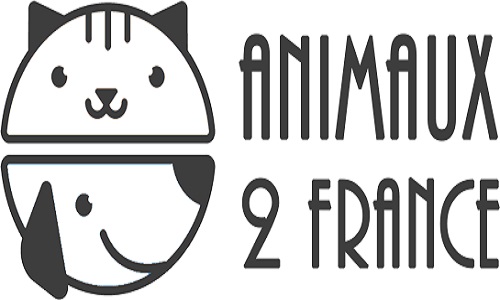 Dissolution de l'association Animaux2france