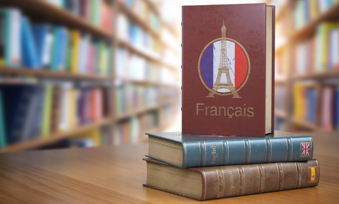 Niveau d'orthographe en baisse : Sauvons la langue française !