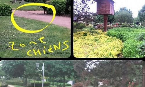 Annulation de l'arrêté interdisant l'accès des chiens aux parcs municipaux