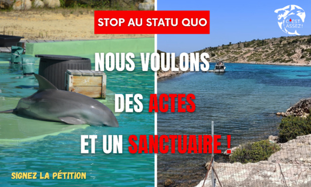 Stop au statu quo : nous voulons des actes et un sanctuaire !