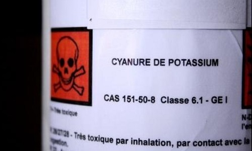 L'interdiction totale du Cyanure à l'échelle mondiale !