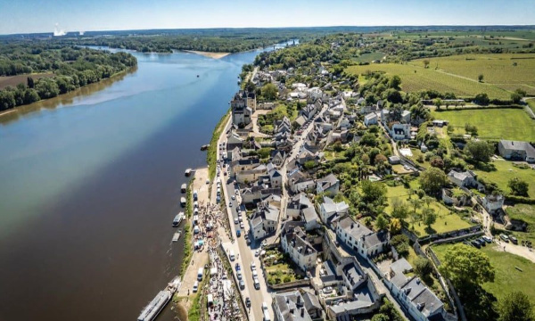 Non au ponton de ski nautique à Montsoreau, sauvegardons la faune et la flore !