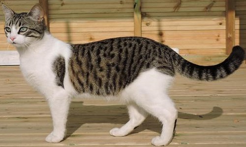 Que la vraie justice soit rendue !