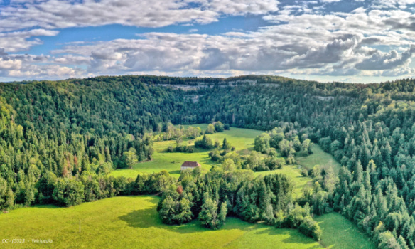 Stop au massacre de nos for&ecirc;ts fran&ccedil;aises pour les panneaux solaires au sol !