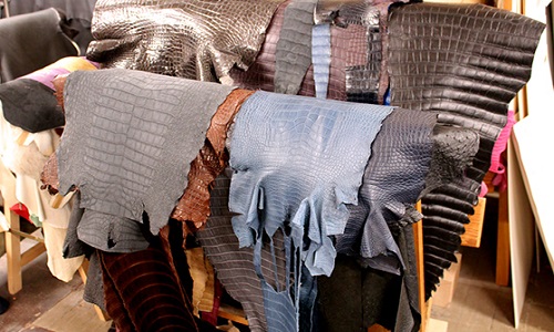 Contre l'industrie de la maroquinerie qui fait son beurre sur le dos des animaux !