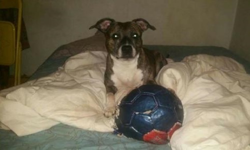 La grâce présidentielle pour elle