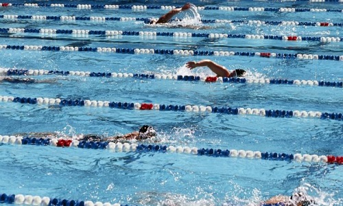 Accréditations pour les entraîneurs aux Championnats d'Europe masters natation de Londres