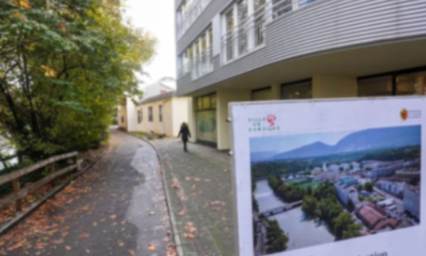 Non à l’abattage des arbres pour la Voie-Verte