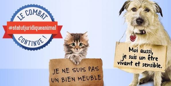 Nos animaux ne sont pas des meubles !