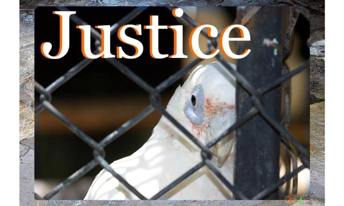 Pour la libération immédiate d'un homme accusé à tort.