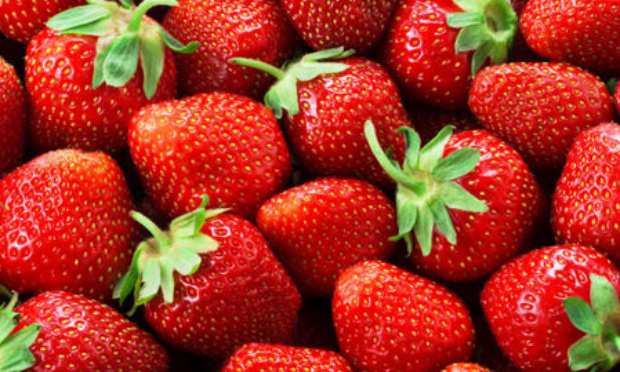 Non à l'expropriation d'un agriculteur (circuit court) au profit de 2 terrains de foot !