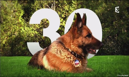 Ne pas supprimer cette émission!