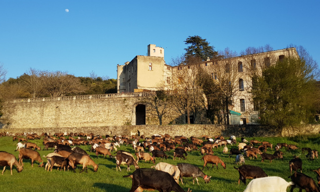 Sauvegardons le Château de l’environnement de Buoux !