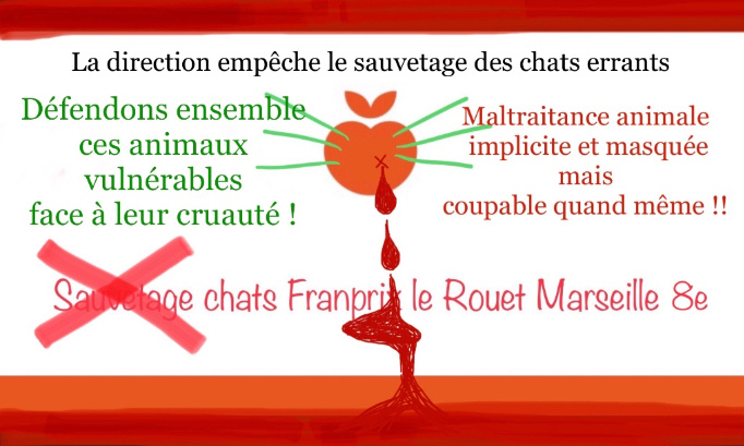 Pour que Franprix arr&ecirc;te de maltraiter les chats errants ! (Le Rouet, Marseille 13008)
