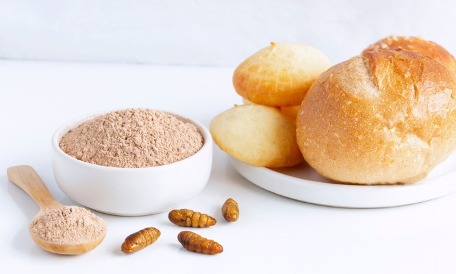 Nous voulons un étiquettage sur tous les produits alimentaires contenant des insectes !