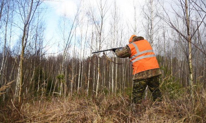 Stop à la  chasse  les week-ends et nocturnes