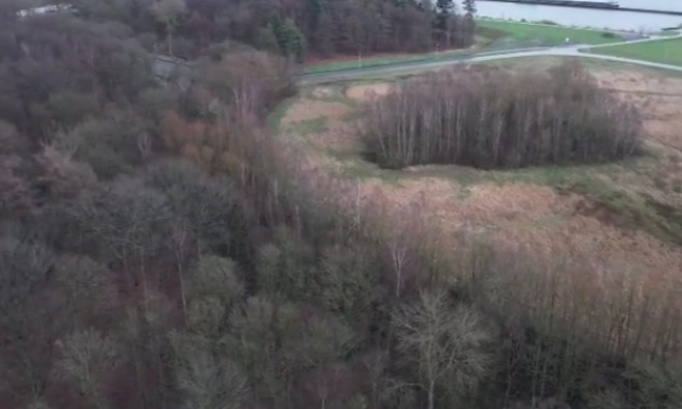 Urgent : Non à l'extension du zoning d'Harchies qui anéantirait les derniers restes d'une forêt vieille de plusieurs siècles !