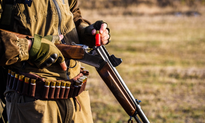 Justice pour l'automobiliste blessée par balle !