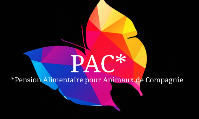 Créer une pension alimentaire pour les animaux de compagnie.