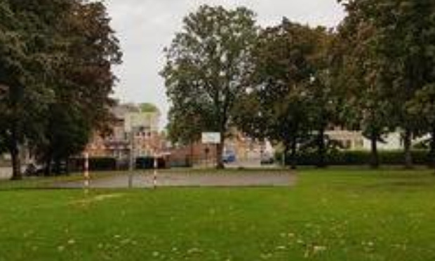 Urgence ! Pour la suspension de l'abattage des arbres de la Place du Centenaire à Binche