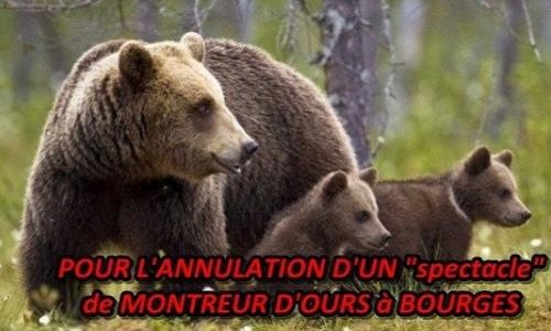 Non au montreur d'ours le 11 et 12 juin à Bourges