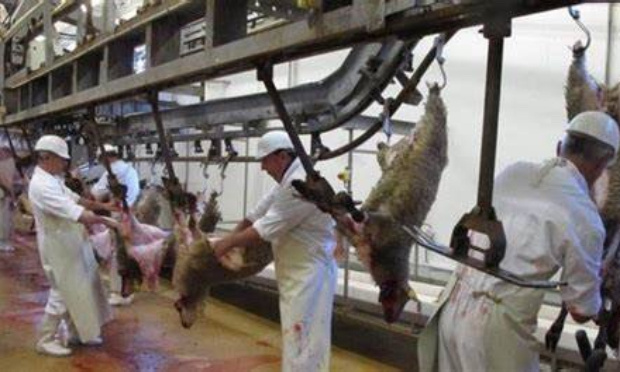 Pour que tuer un animal soit reconnu comme un crime