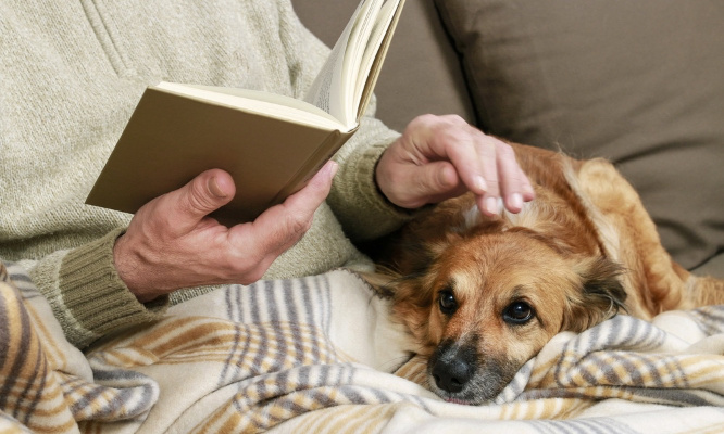 Pour que les animaux de compagnie soient admis dans les maisons de retraite !