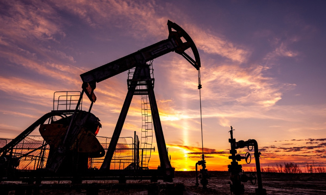 Stoppons le Willow Project : je veux vivre en bonne santé, sans peur pour mon avenir ou pour mes enfants !