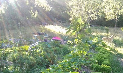 Pour le maintien du maraichage Bio à Prelles