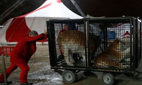 Non aux cirques sur Cabriès, et zone commerciale de Plan de Campagne !