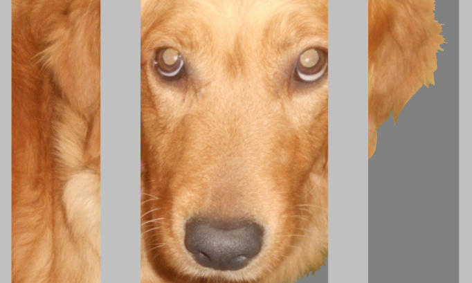 Libérez Mèche, Niko et Toboe, victimes de maltraitance institutionnelle !