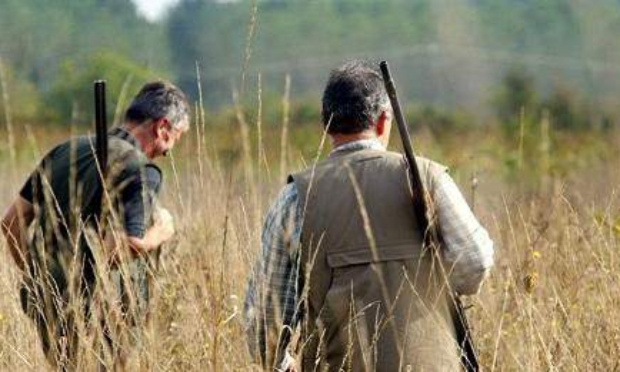 Harcelés par des chasseurs ...  quand leurs victimes deviennent coupables !
