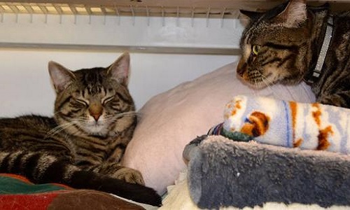 De l'aide financière!