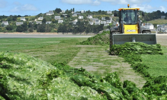 Contre l'agriculture et l'élevage intensif en Bretagne !