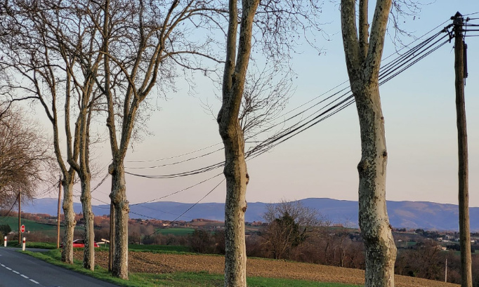 OUI à la fibre, NON à la dégradation du paysage!