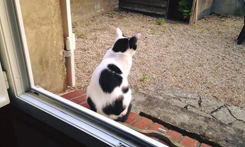 Fermeture de la pension de la Croix Verte - Nesploy