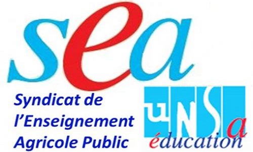 Non à l'éternel oubli des contractuels dans les différentes revalorisations !